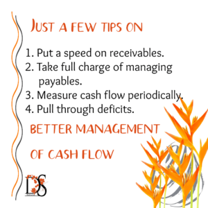 Cash Flow Tips by Diya Selva